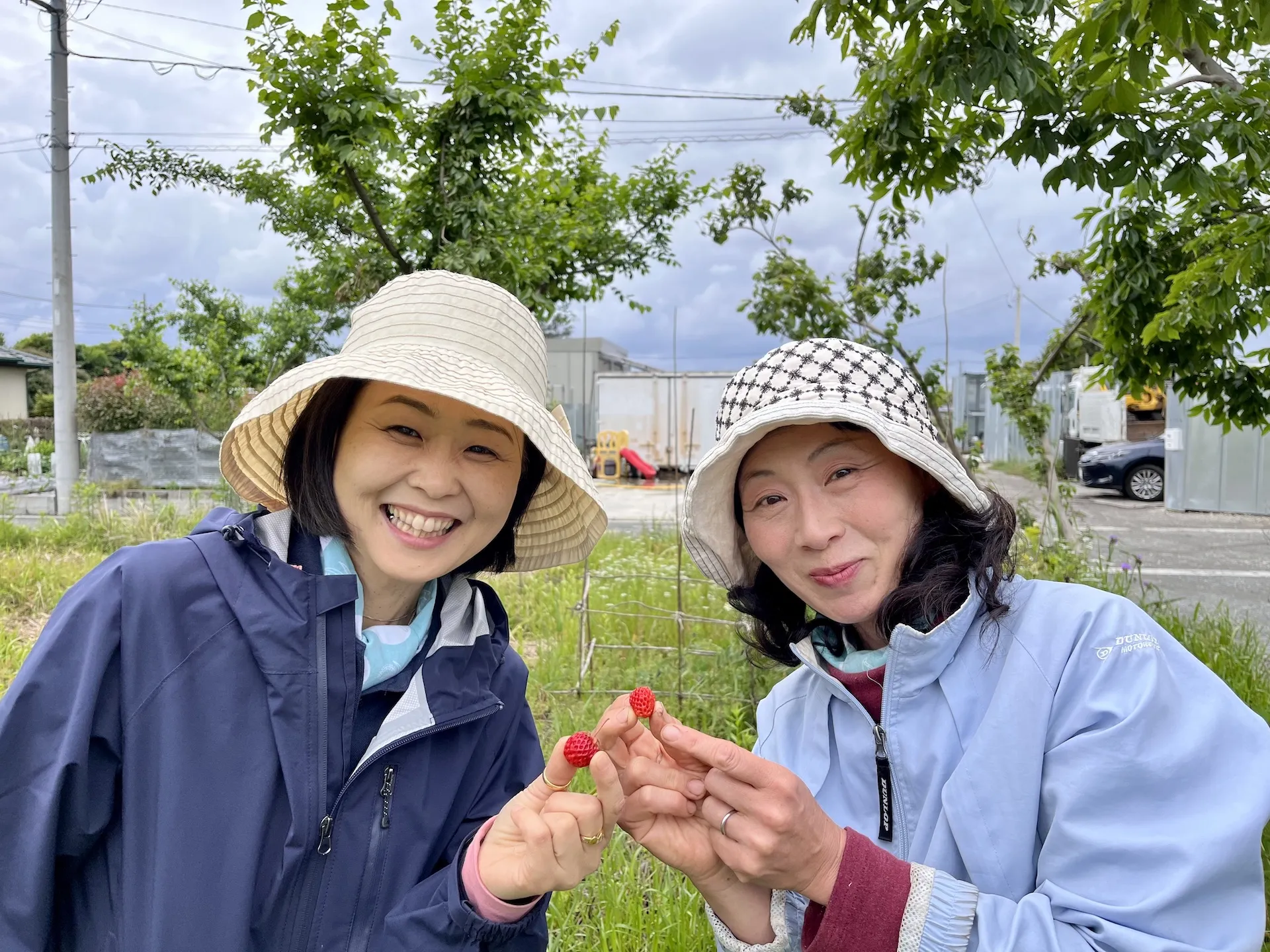 【農と生き方】「時間管理術」と午前中に農作業を行う理由