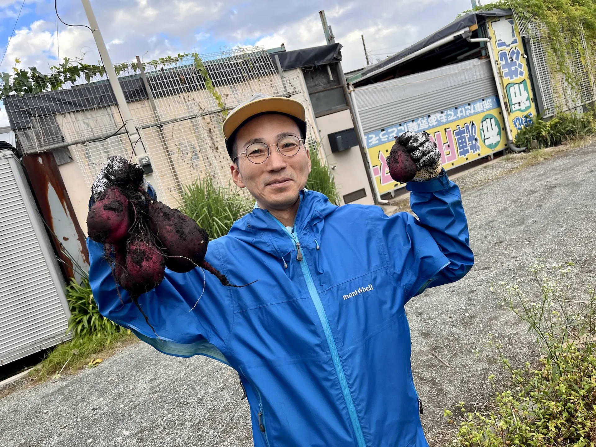 バクテリアの浄化