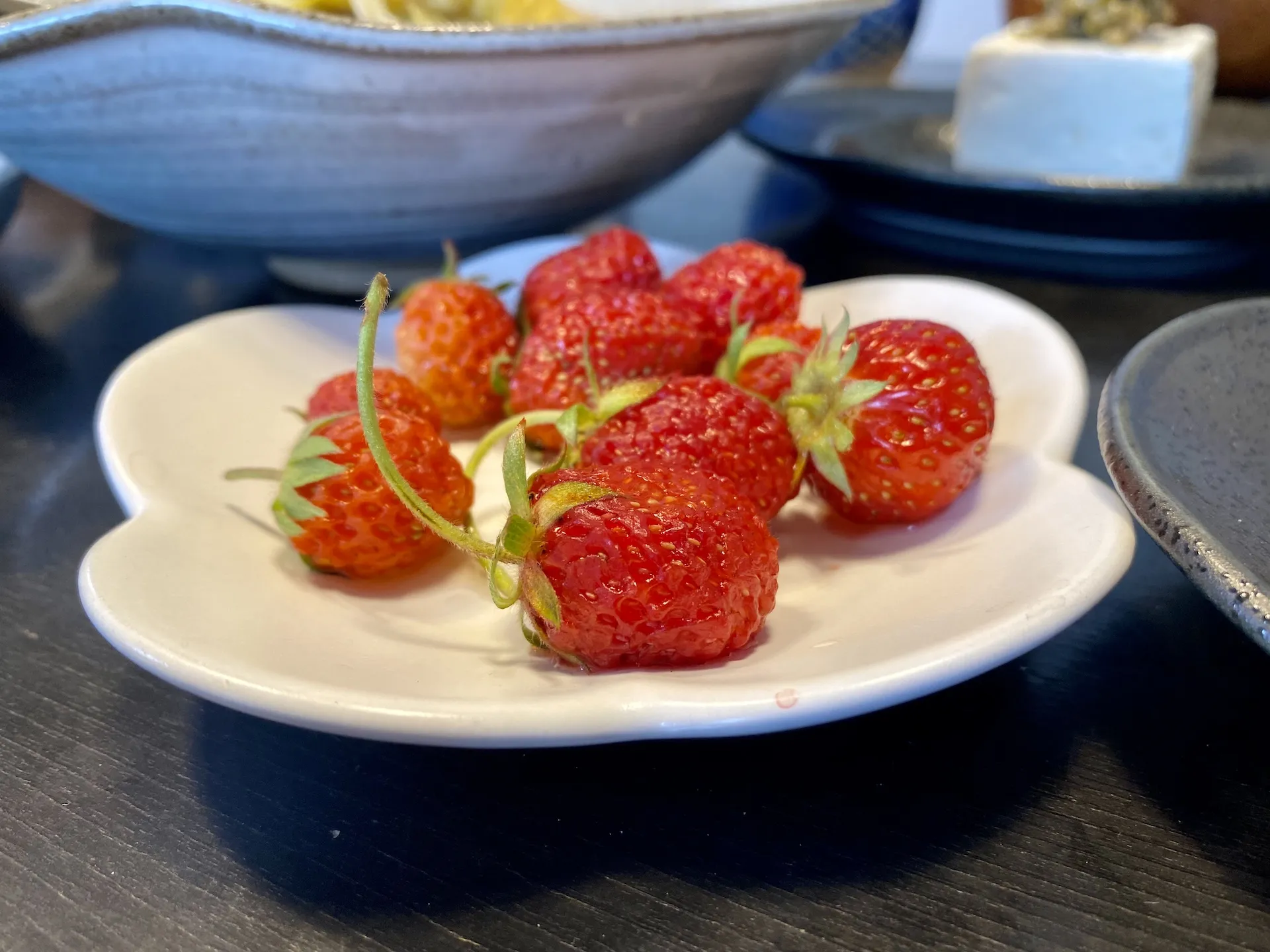 【農業体験@神奈川】イチゴの苗の作り方と増やす裏技
