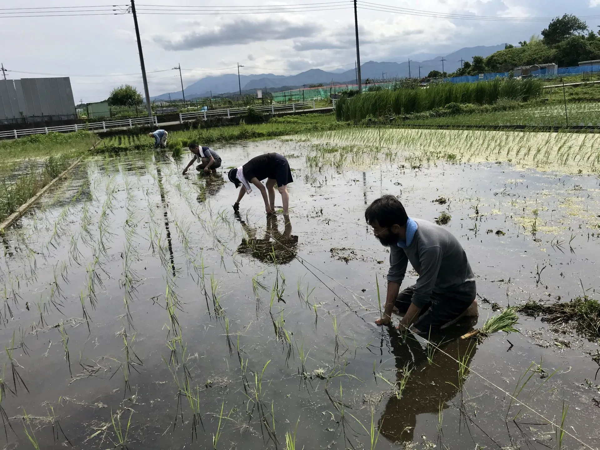 【農業体験@神奈川】米と麦の二毛作に学ぶ「睡眠の活用法」