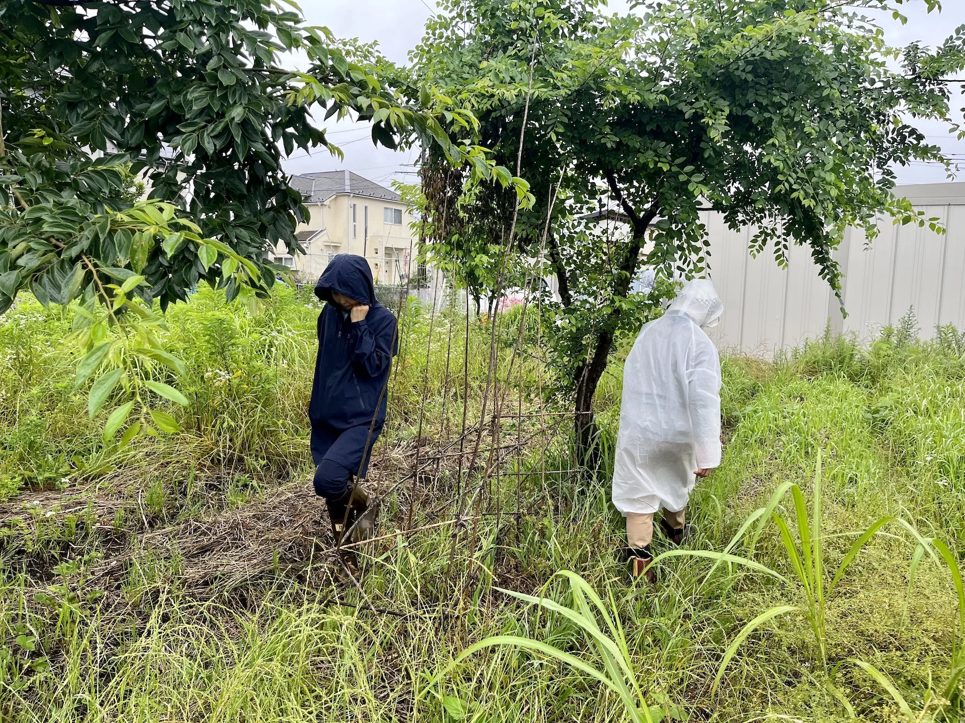 【農業体験@神奈川】観葉植物を枯らしまくっていたド素人でさえ...