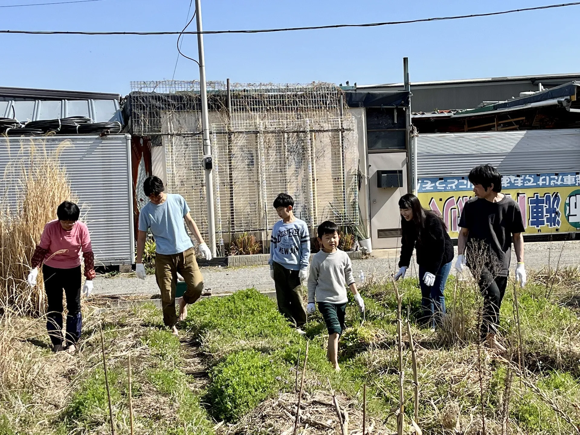 【農業体験@神奈川】観葉植物を枯らしまくっていたド素人でさえ...