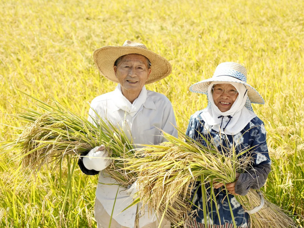 【農業体験@神奈川】摘心に学ぶ：人生に成果が出る投資の秘訣