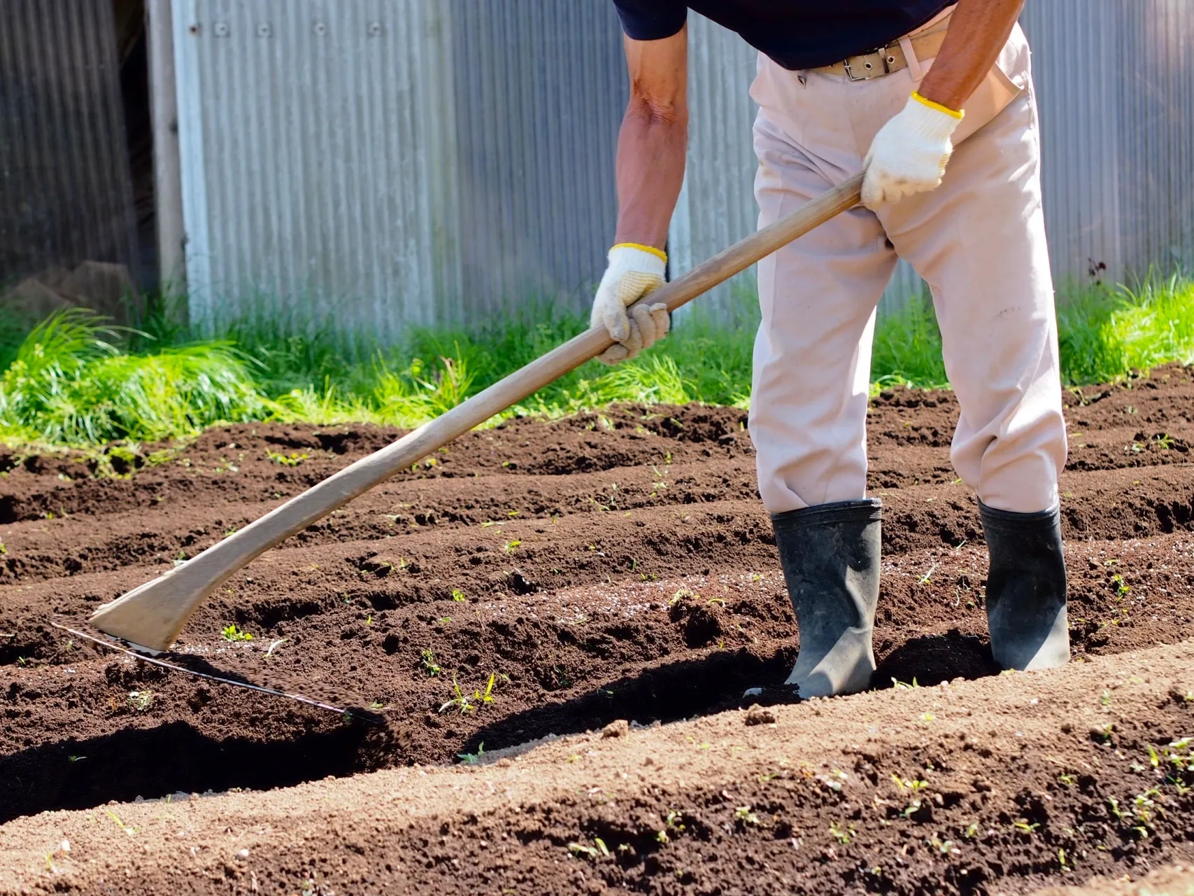 【農業体験@神奈川】耕しすぎはアカン！良い土、柔らかい土作り...