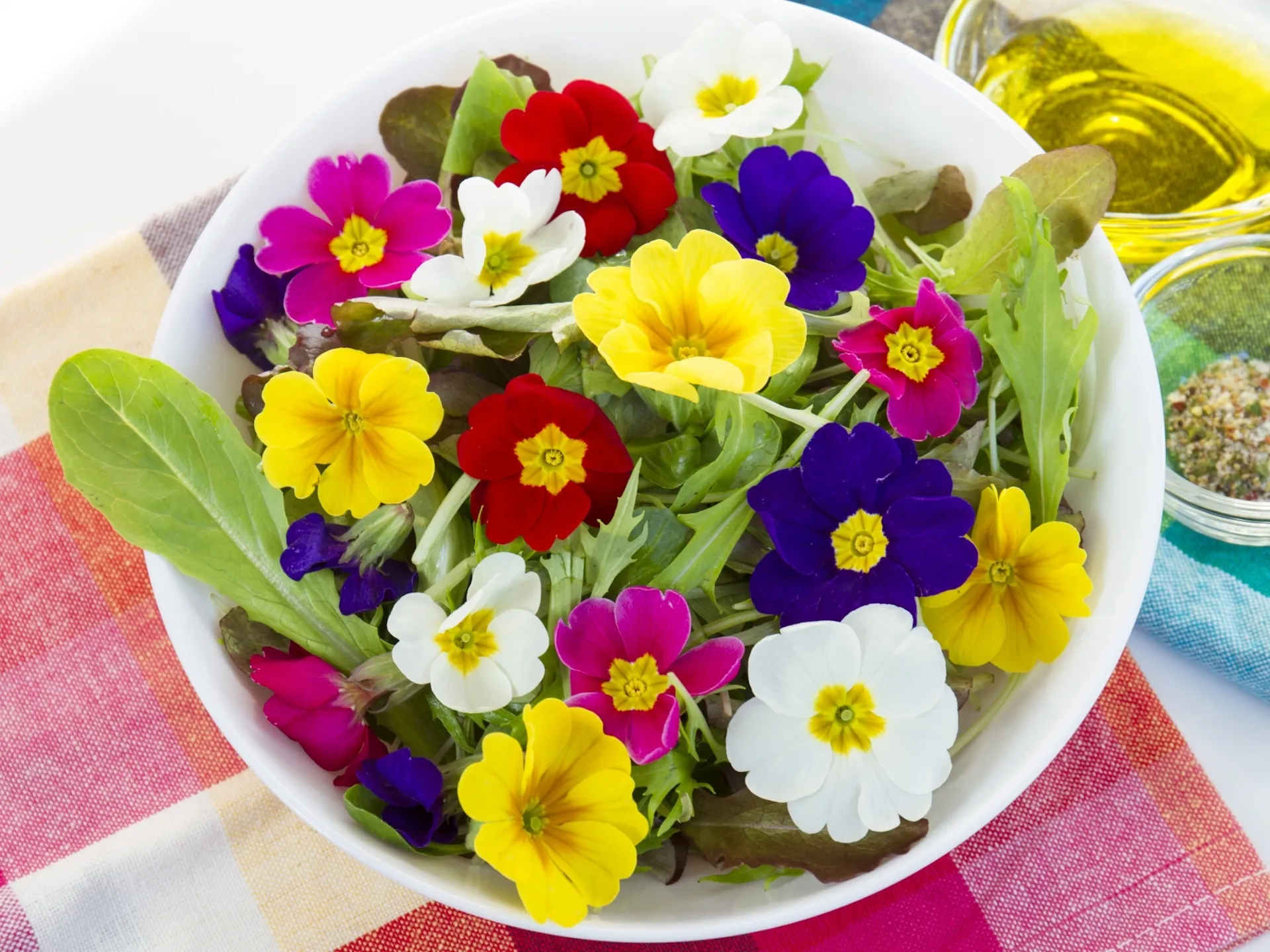 【農業体験＠神奈川】毎日お花が食卓を彩る暮らし