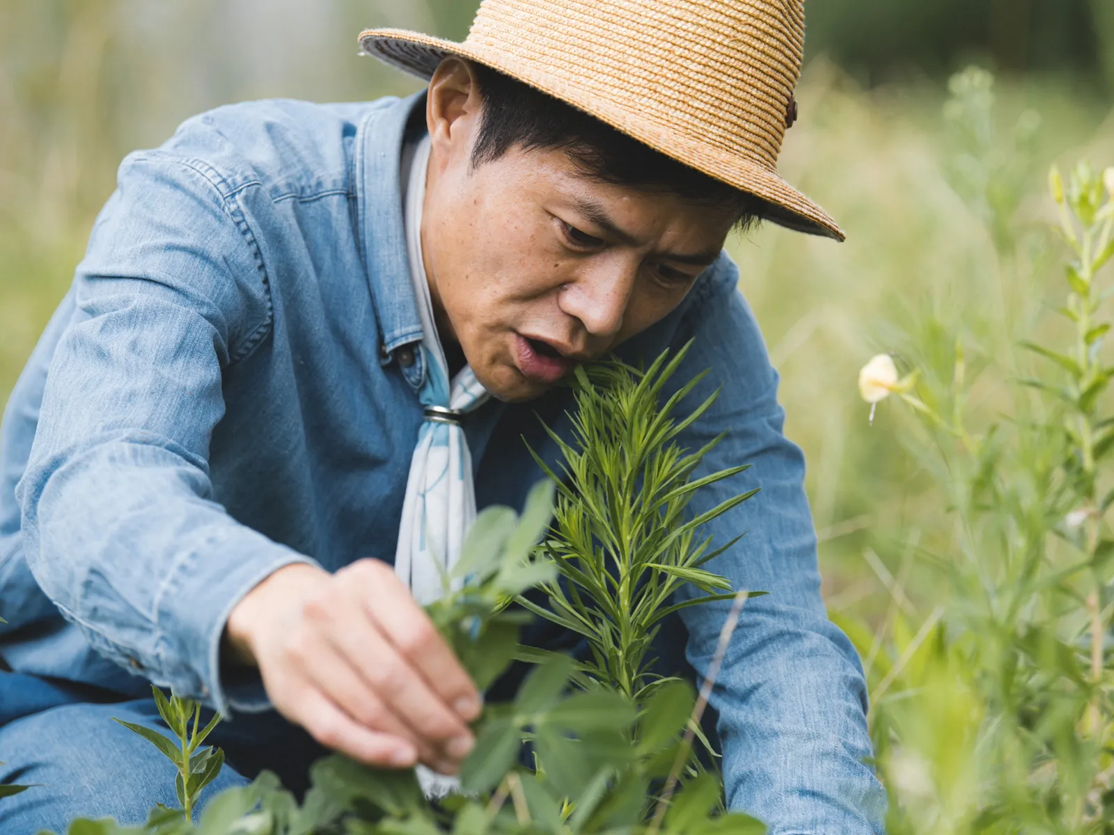 【農業体験@神奈川】自然農の教え：本当の自分と対話【農と生き...